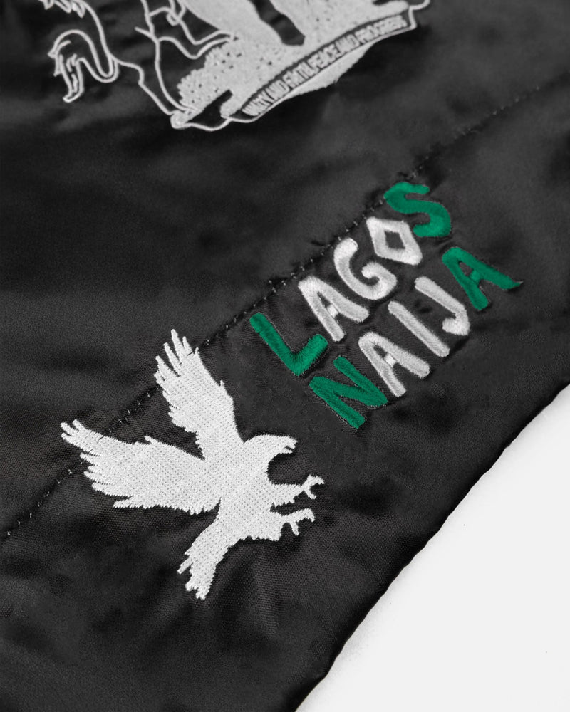 Patta x Fairtex Homecoming 2025 Muay Thai Shorts (Multi/Black/Green) - Patta