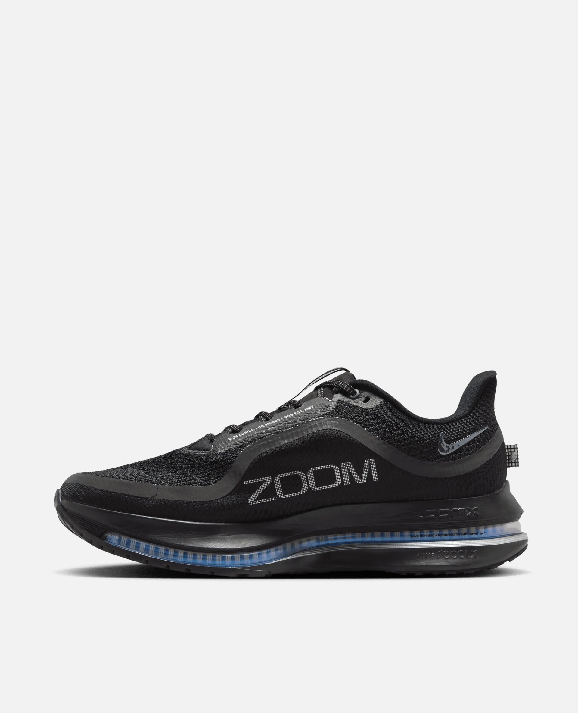 Nike Pegasus Premium (Black/Black-Metalic Silver) Nike