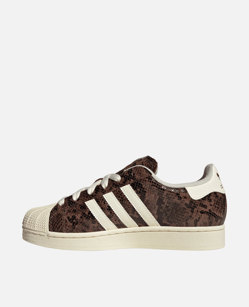 adidas WMS Superstar II (Preloved Brown/Cream White/Alumina) Adidas