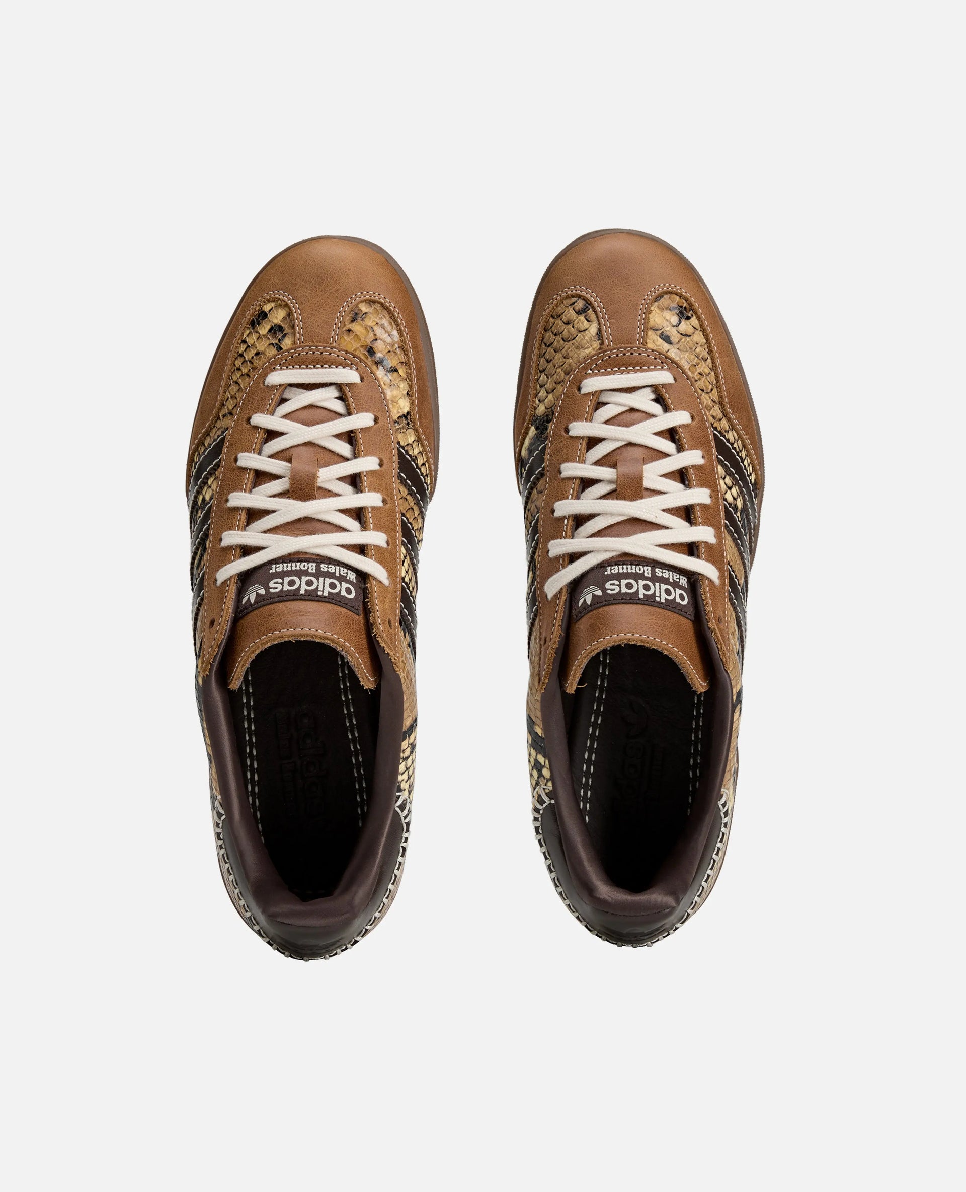 adidas WB Gazelle Snake (Super Color/Dark Brown/Won White) Adidas